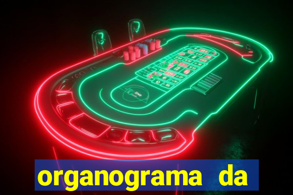 organograma da cacau show